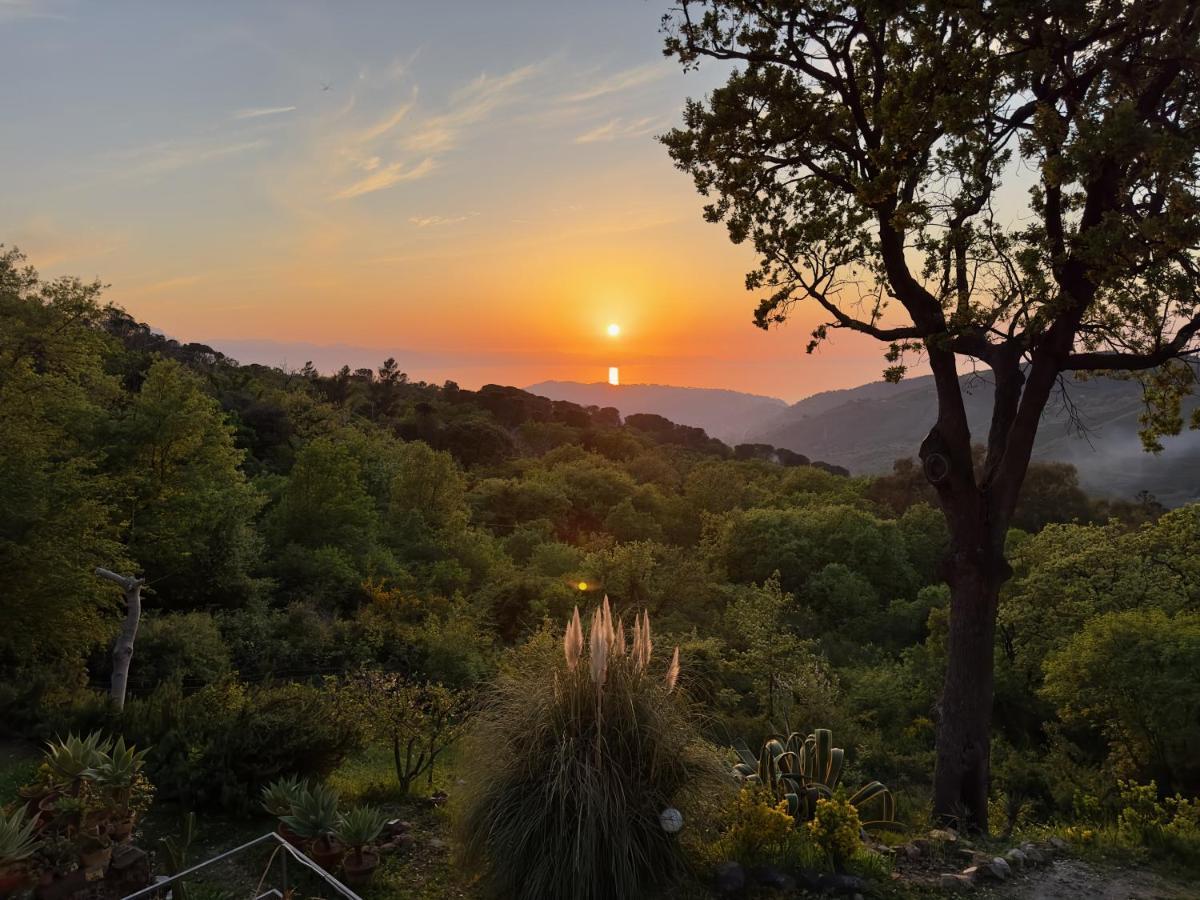 Cefalu Forest Hideout Luaran gambar