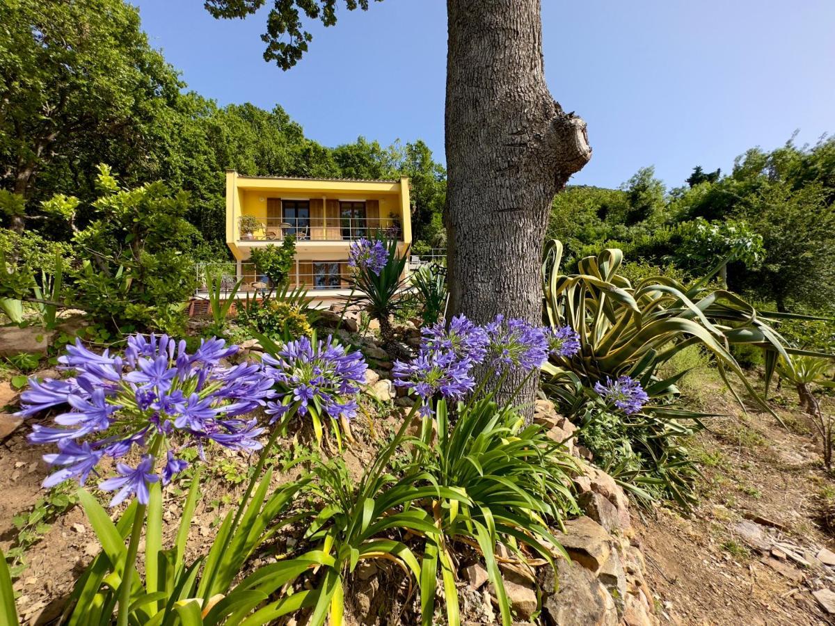 Cefalu Forest Hideout Luaran gambar